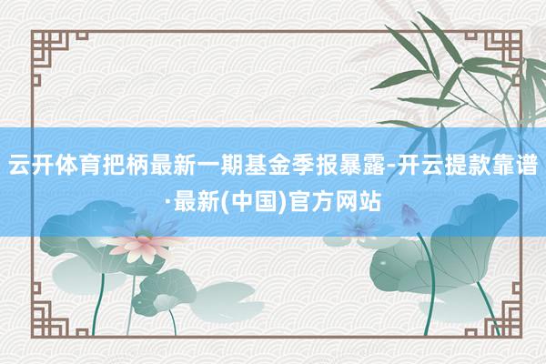 云开体育把柄最新一期基金季报暴露-开云提款靠谱·最新(中国)官方网站