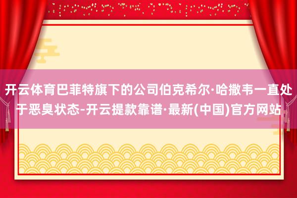 开云体育巴菲特旗下的公司伯克希尔·哈撒韦一直处于恶臭状态-开云提款靠谱·最新(中国)官方网站